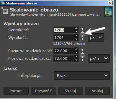 Zmiana rozmiaru obrazka - możliwość ręcznego wpisania szerokości i wysokości