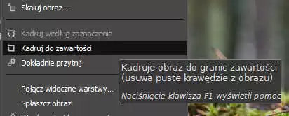 Kadrowanie zdjęcia do zawartości – aby automatycznie usunąć puste przestrzenie z obrazu i później sprawnie wyeksportować plik graficzny