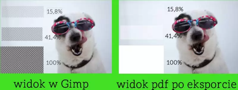 Eksport pliku do formatu pdf w Gimp - porównanie widoku projektu i zapisanego pdfa