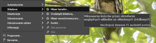 Włączenie Miksera kanałów w Gimp - aby zmienić na zdjęciu kolory „lato na jesień”