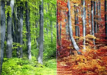 Porównanie zastosowania Miksera kanałów ¬„w drugą stronę” – po prawej podgląd oryginalnego zdjęcia jesiennego, a po lewej widok wiosenno/letni