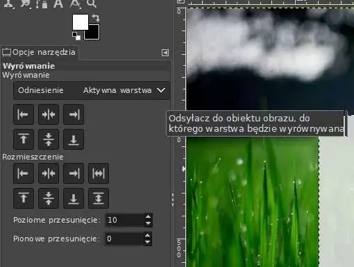 Opcje narzędzia wyrównania